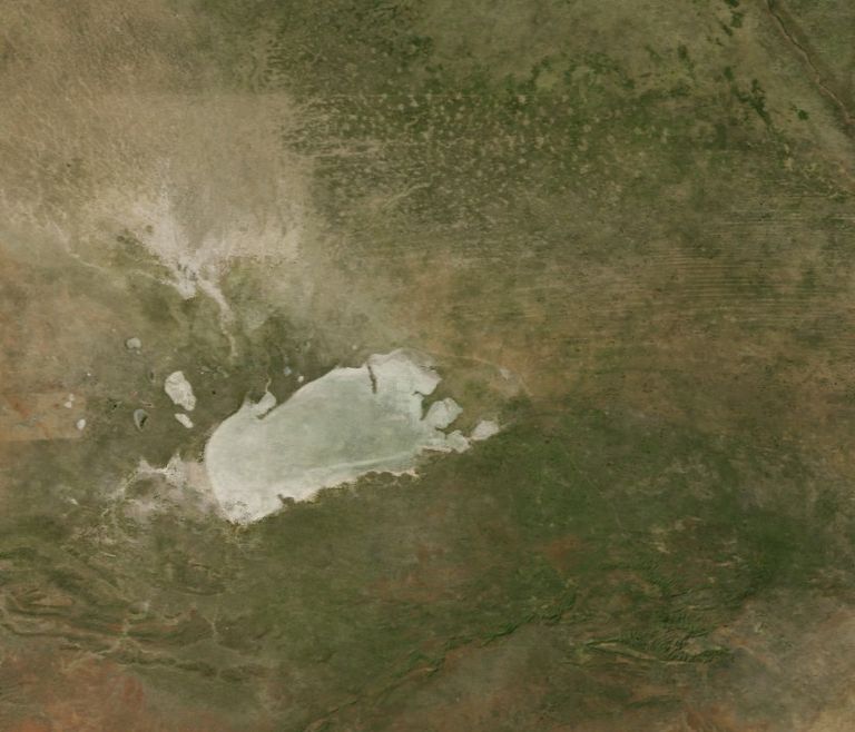 Etosha, January 2004
