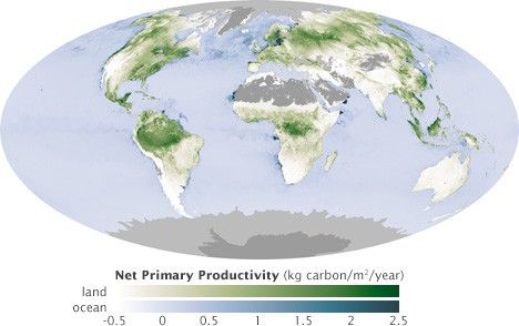 Earth Perspectives - NASA Science