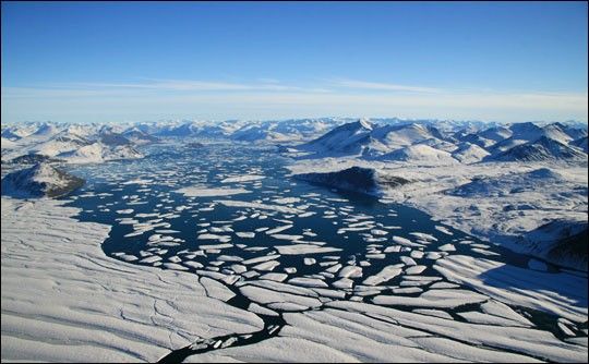 Photograph of Ward Hunt Ice Shelf pieces in Disraeli Fiord.