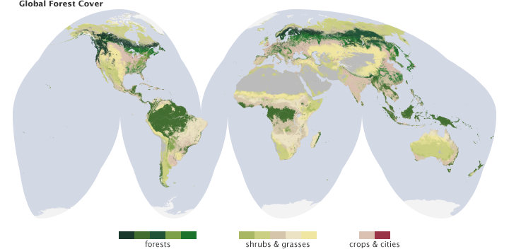 Forest Systems Map Seeing Forests for the Trees and the Carbon: Mapping the World’s ...