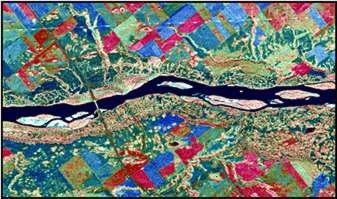 Integrated Landsat-TM/SAR Image (IHS)