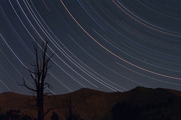 Planetary Motion: The History of an Idea That Launched the Scientific ...