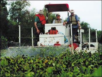 Photo of the AquaTerminator.