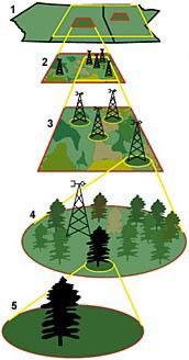 Multiscale Measurement Strategy in BOREAS
