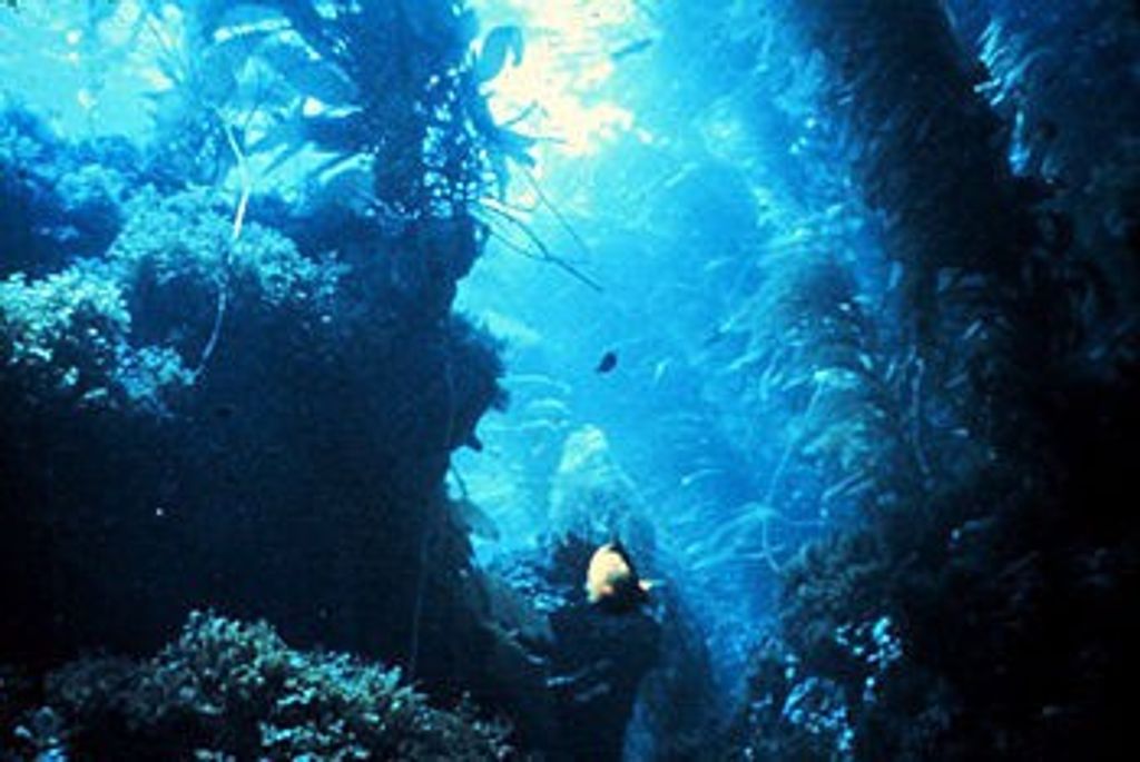Sea Change Quiz