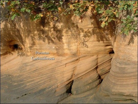 Photograph of the Carboniferous - Permian unconformity near Hylton, England.
