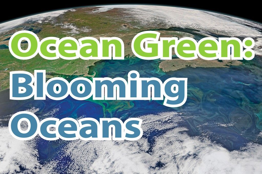 Ocean Green: Blooming Oceans