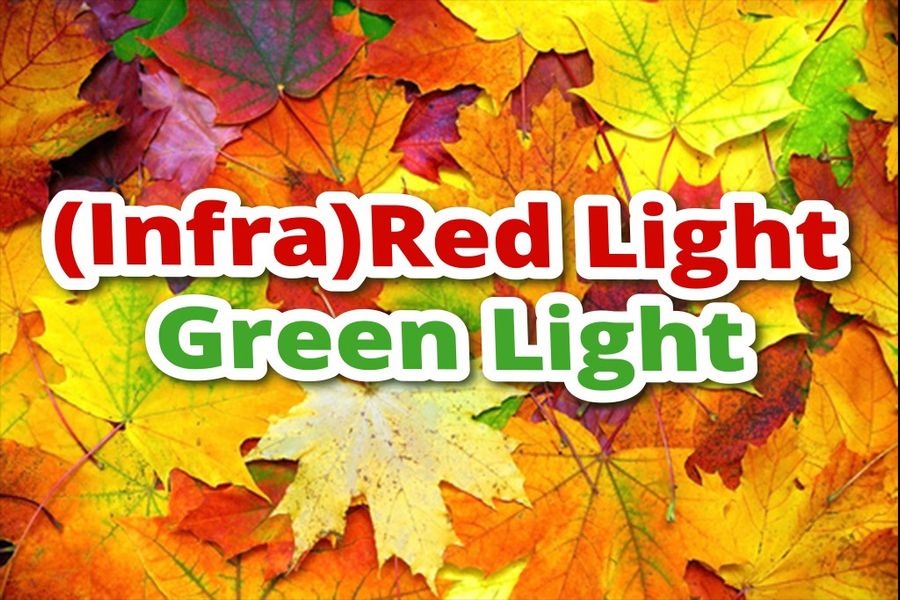 (Infra)Red Light, Green Light | EO Kids Magazine - NASA Science