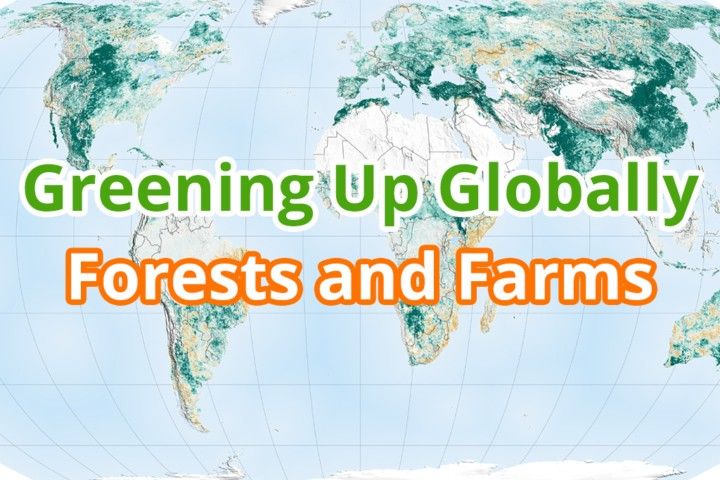 Greening Up Globally: Forests and Farms