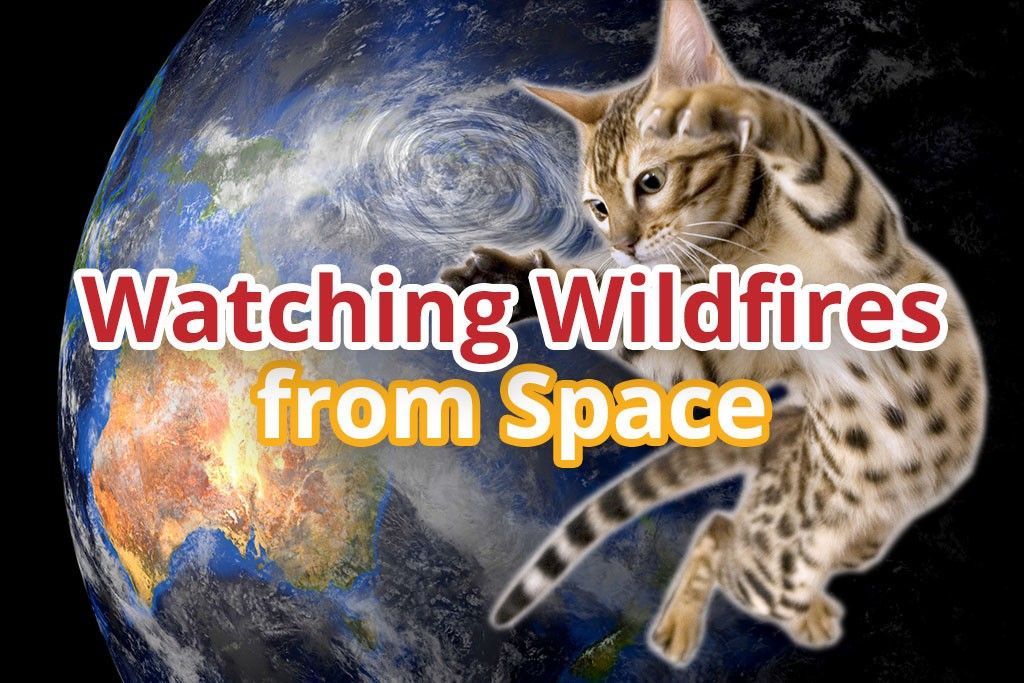 Watching Wildfires from Space