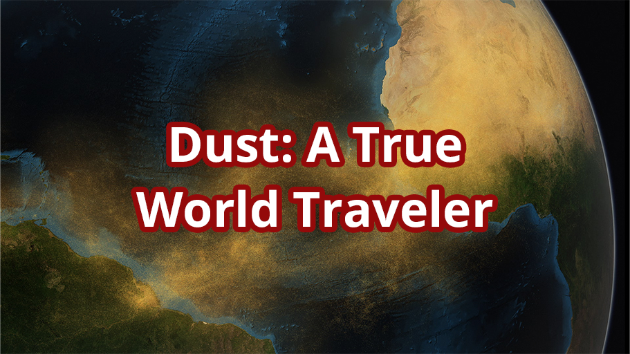 Dust: A True World Traveler