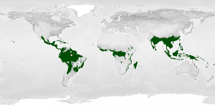 Biome Rainforest NASA Science Map Rainforest Manaus 