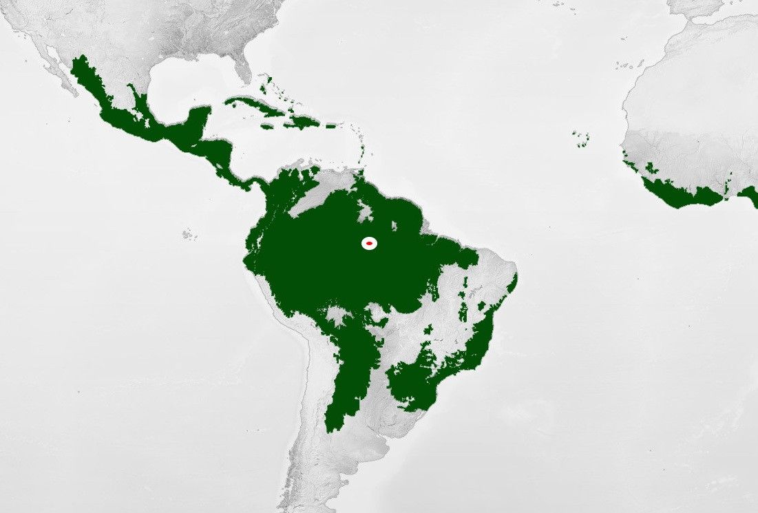 Biome Rainforest NASA Science Map Rainforest Zoom 