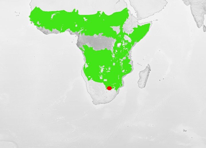 Location map: Click to enlarge