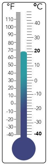 Coniferous Night Temp