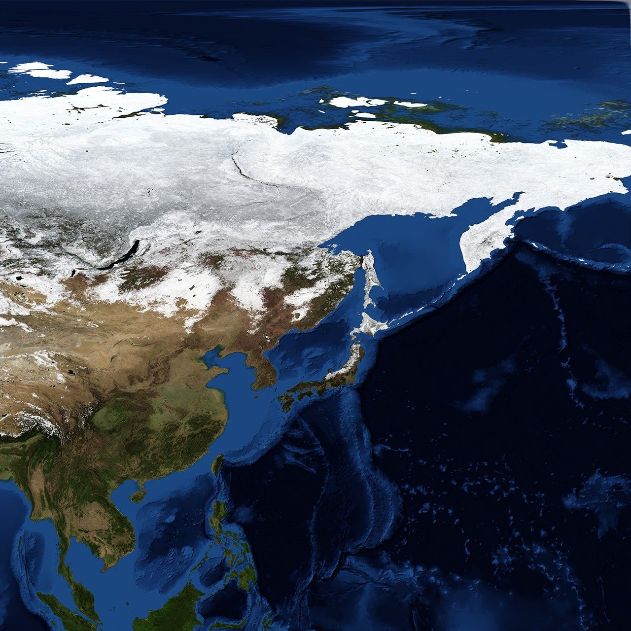 Blue Marble: Next Generation w/ Topography and Bathymetry, February
