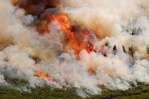 
			Evolving in the Presence of Fire - NASA Science			