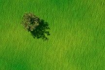 
			Land Cover Classification - NASA Science			