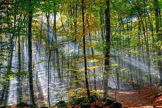 
			The Carbon Cycle - NASA Science			