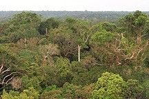 
			Introduction to the Large-scale Biosphere-Atmosphere Experiment in Amazonia (LBA) - NASA Science			