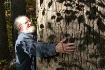
			Ancient Forest to Modern City - NASA Science			