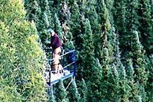 
			The Mystery of the Missing Carbon - NASA Science			