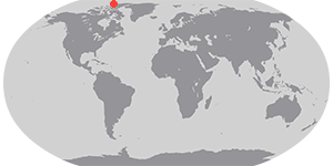 The North Pole Project