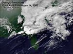 Georgia Tornadoes, February 14, 2000