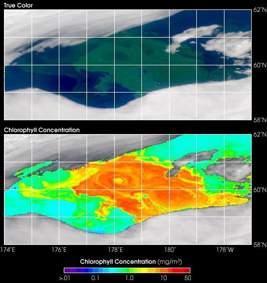 SeaWiFS True Color and Chlorophyll