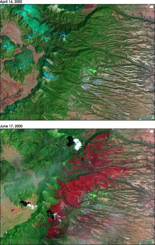 Los Alamos Before and After the Fire