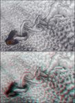 Atmospheric Vortices near Guadalupe Island