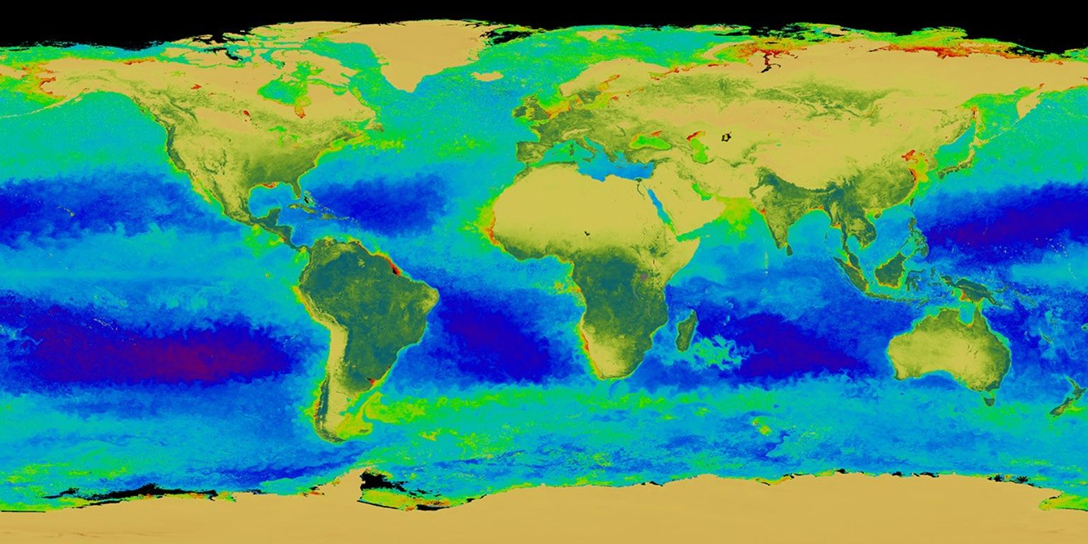SeaWiFS Views the Global Carbon Cycle - NASA Science