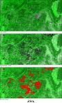 Land Cover Change from Fire