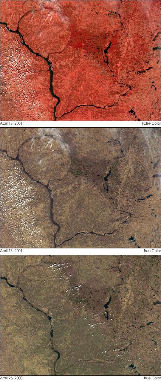 Spring Floods on the Mississippi