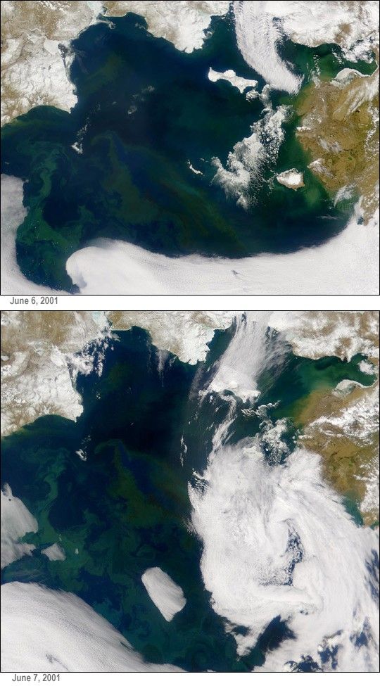 Mystery Plankton Bloom in the Bering Sea