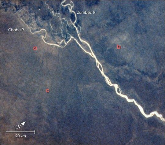 Elephant damage to vegetation in Botswana