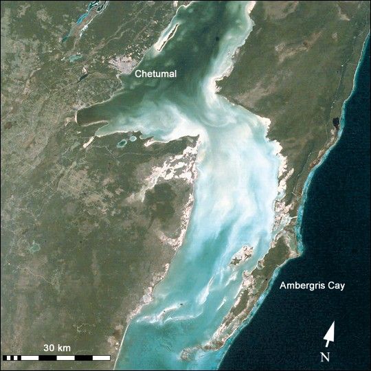 Chetumal Bay Coral Reef