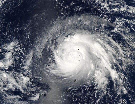 Typhoon Higos