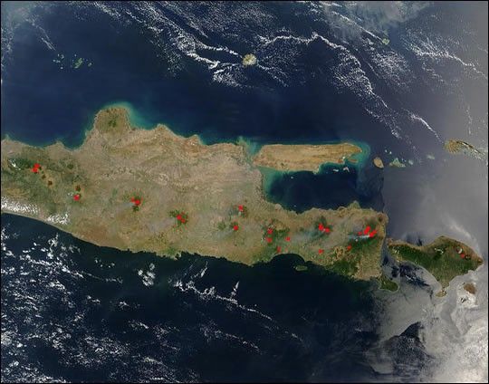Fires Burn in Java?s Islands of Forest