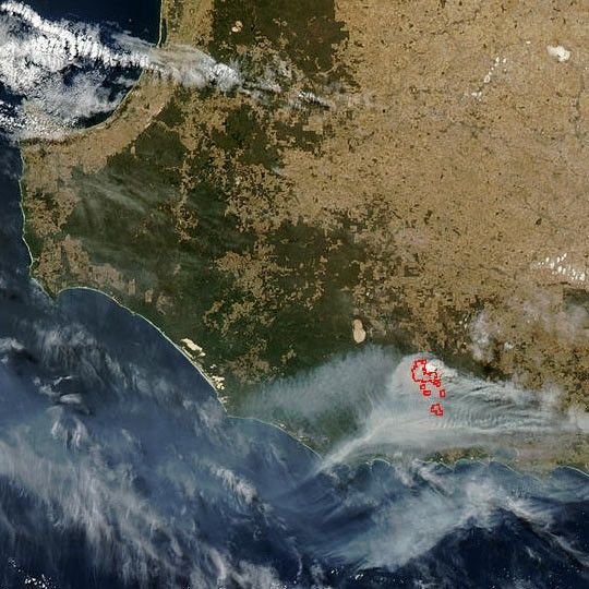 Forest Fire in Southwest Australia