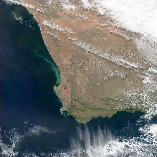 
			Phytoplankton off South African Coast - NASA Science			
