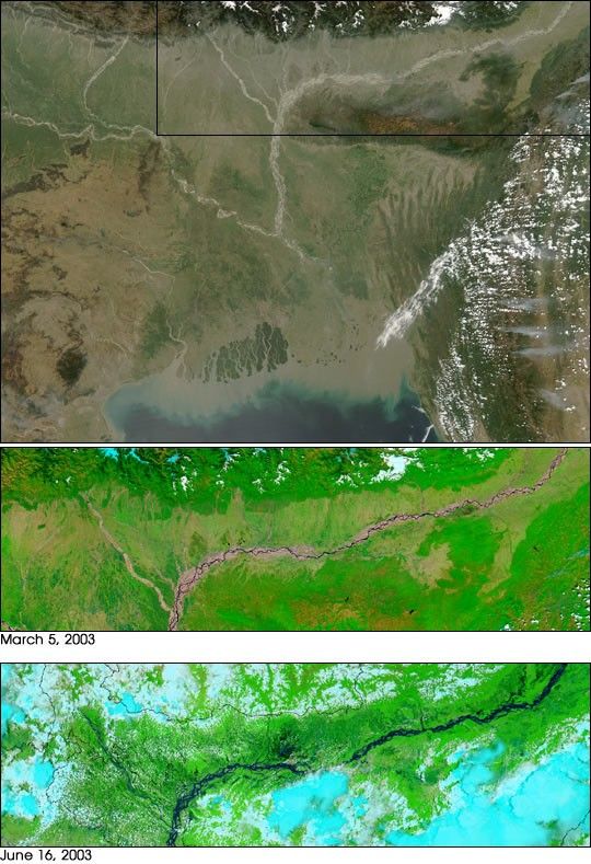 Floods in India and Bangladesh