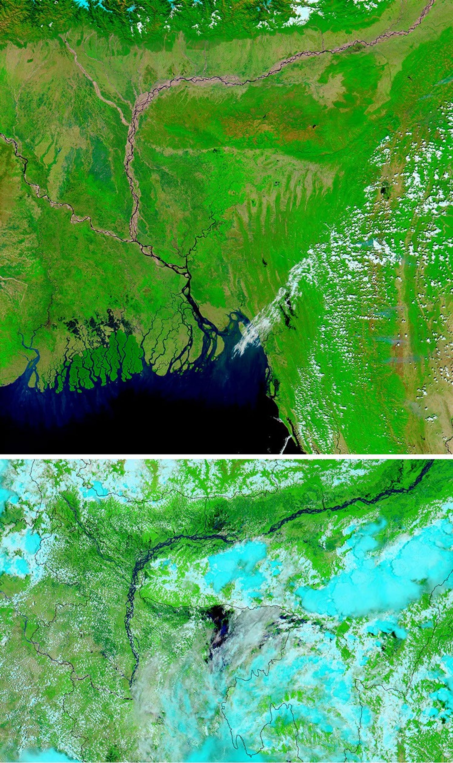 Floods in India and Bangladesh