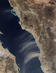 Dust Plumes Over the Red Sea