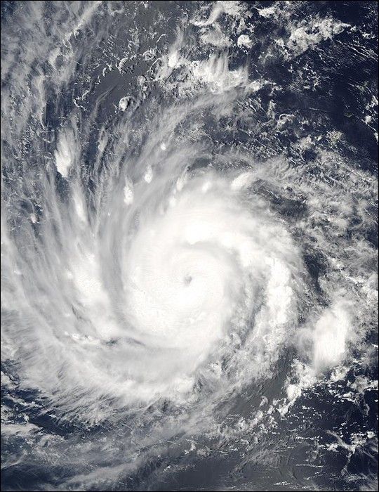 
			Typhoon Sudal - NASA Science			