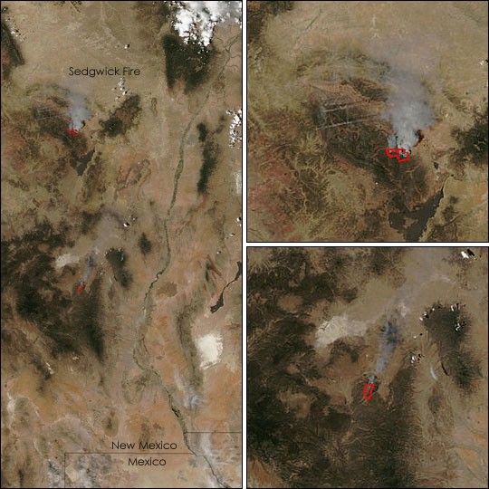 
			Sedgwick Fire in New Mexico - NASA Science			