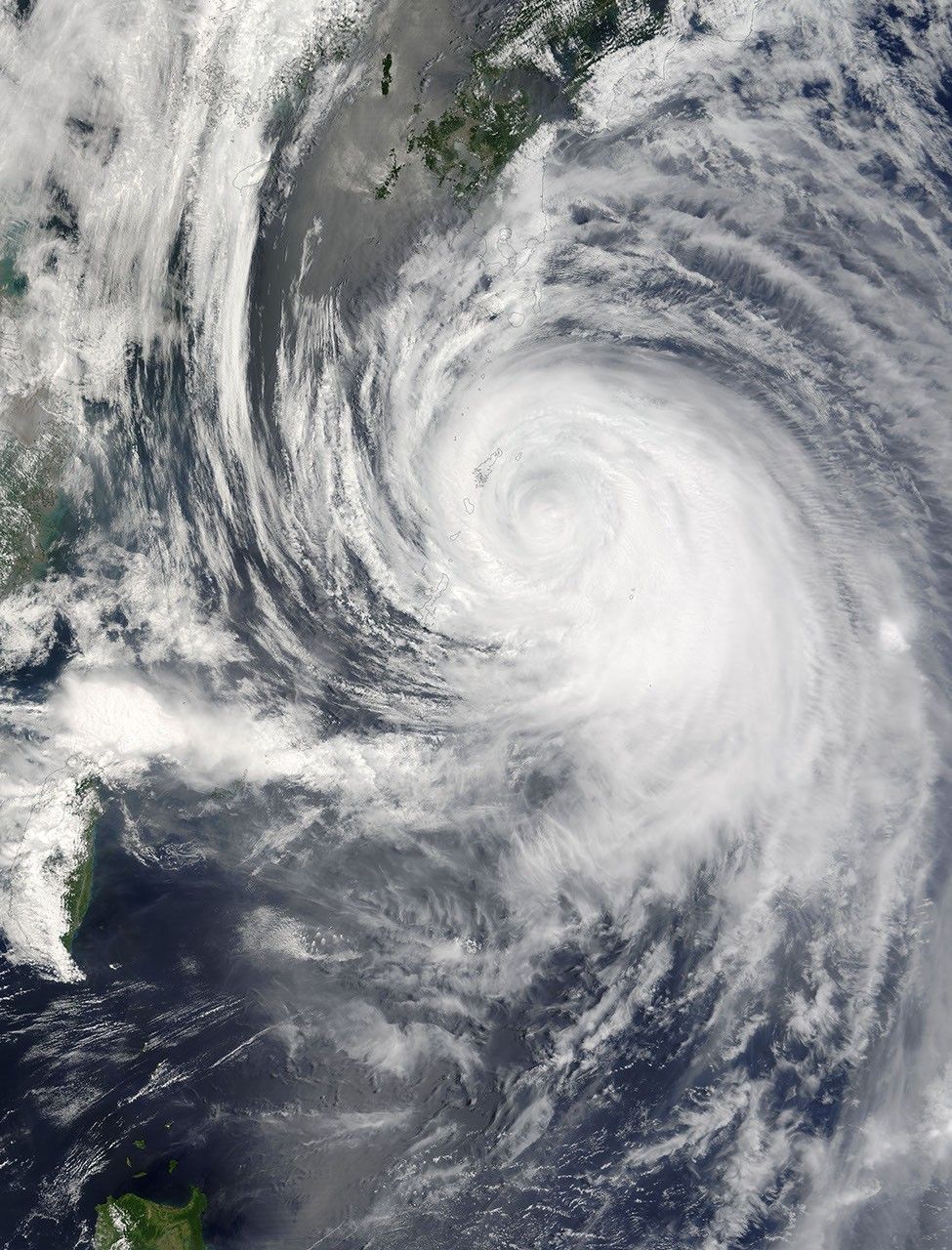 ストーム　Storm typhoon タイフーン STORM TYPHOON - ストーム タイフーン | ボウリング用品の卸・仕入れ