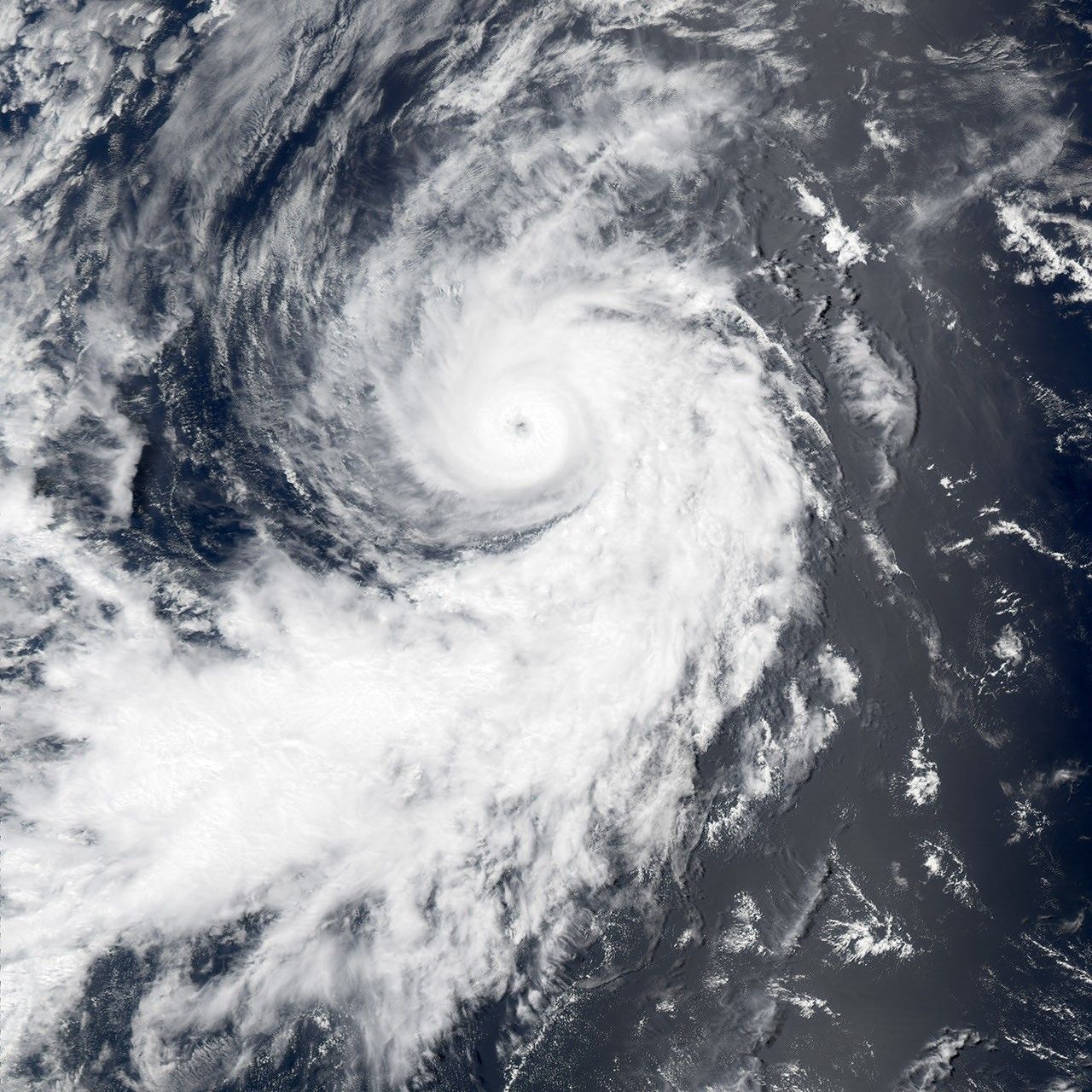 Hurricane Darby