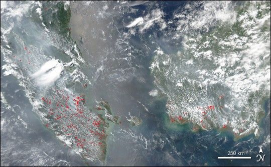 Fires on Borneo and Sumatra
