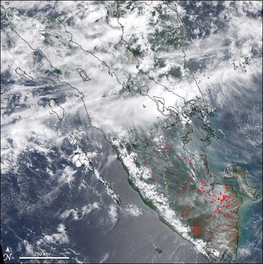 Fires on Borneo and Sumatra